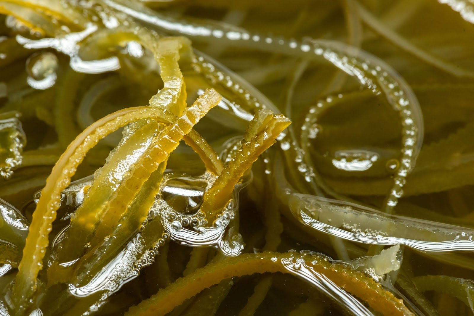 Boosting Gut Health Naturally: The Surprising Benefits of Sea Moss