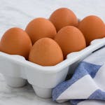 Six Organic Eggs on White Tray