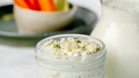 The Best Homemade Blue Cheese Dip & Dressing Recipe