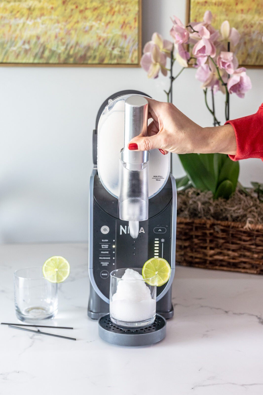 Frozen Gin & tonic Recipe