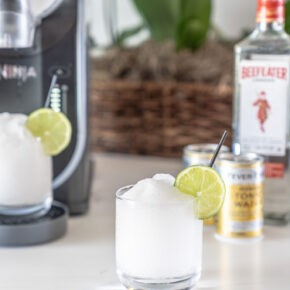 Frozen Gin & tonic Recipe