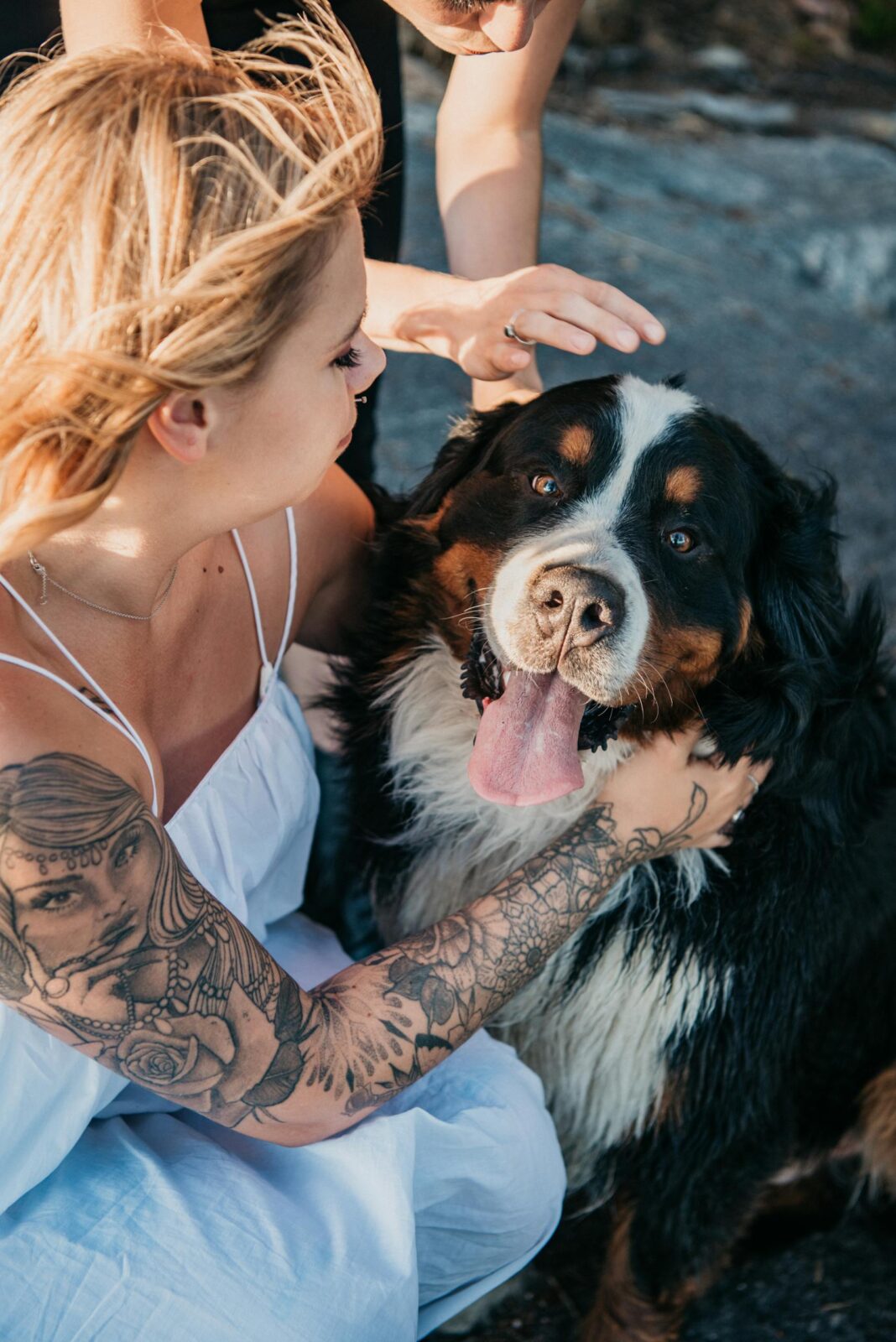 A woman with tattoos affectionately pets a Bernese Mountain Dog outdoors.