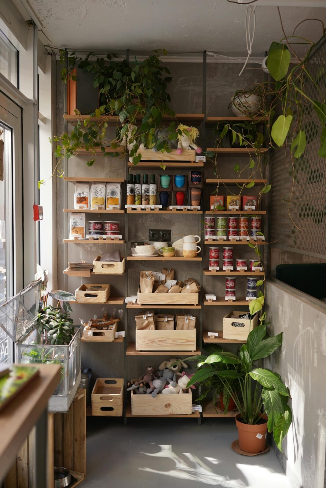 A modern kitchen shelving unit adorned with plants and organized food items, offering a cozy home vibe.