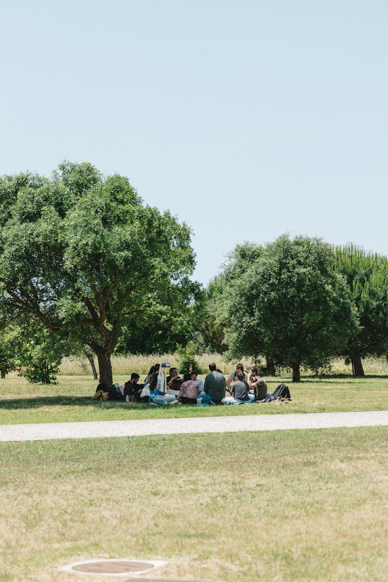 A serene outdoor gathering of adults under trees in a Portuguese park on a sunny day.