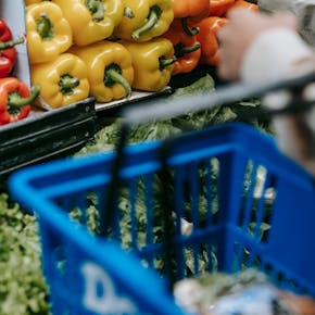 Crop unrecognizable buyer choosing ripe colorful bell peppers while standing in department with fresh vegetables during grocery shopping in supermarket