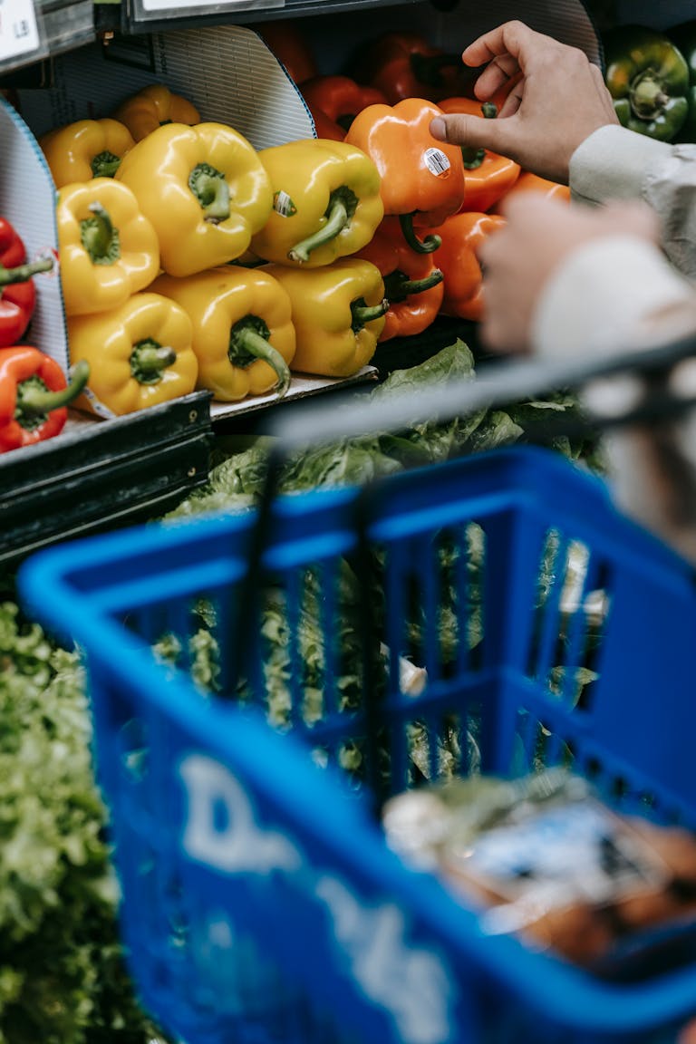 Crop unrecognizable buyer choosing ripe colorful bell peppers while standing in department with fresh vegetables during grocery shopping in supermarket