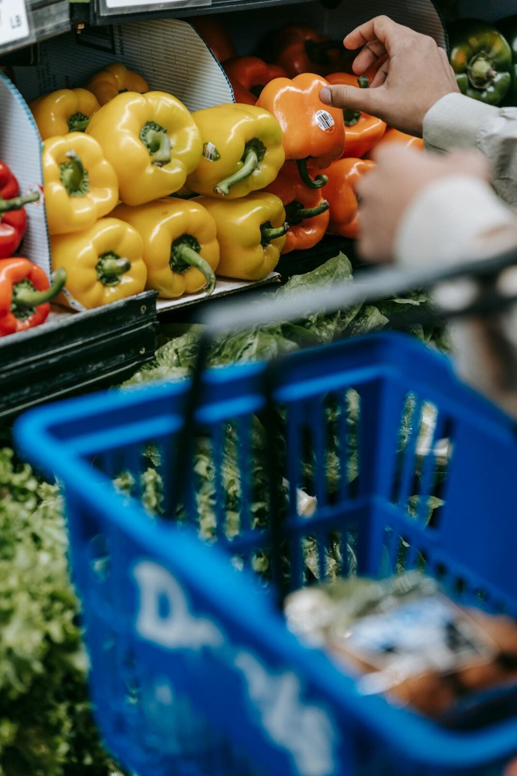Crop unrecognizable buyer choosing ripe colorful bell peppers while standing in department with fresh vegetables during grocery shopping in supermarket