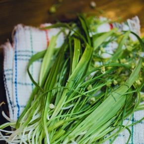 Bunch of fresh garlic chives displayed on a colorful checkered towel, perfect for culinary use.