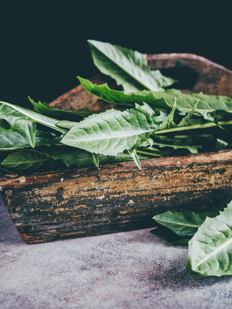 dandelion greens