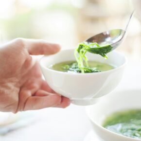 stinging nettle soup
