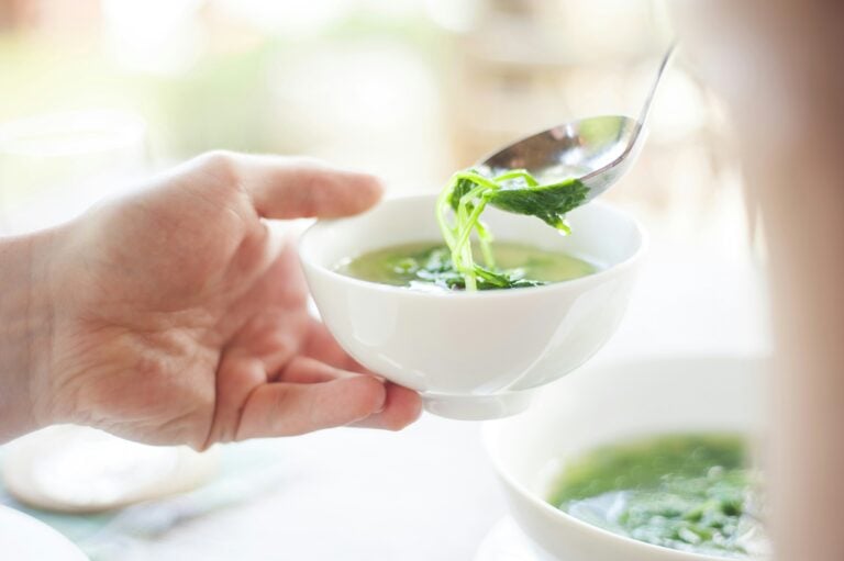 stinging nettle soup