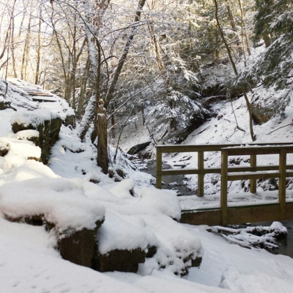 Snow-covered woodland trail and bridge in Pennsylvania