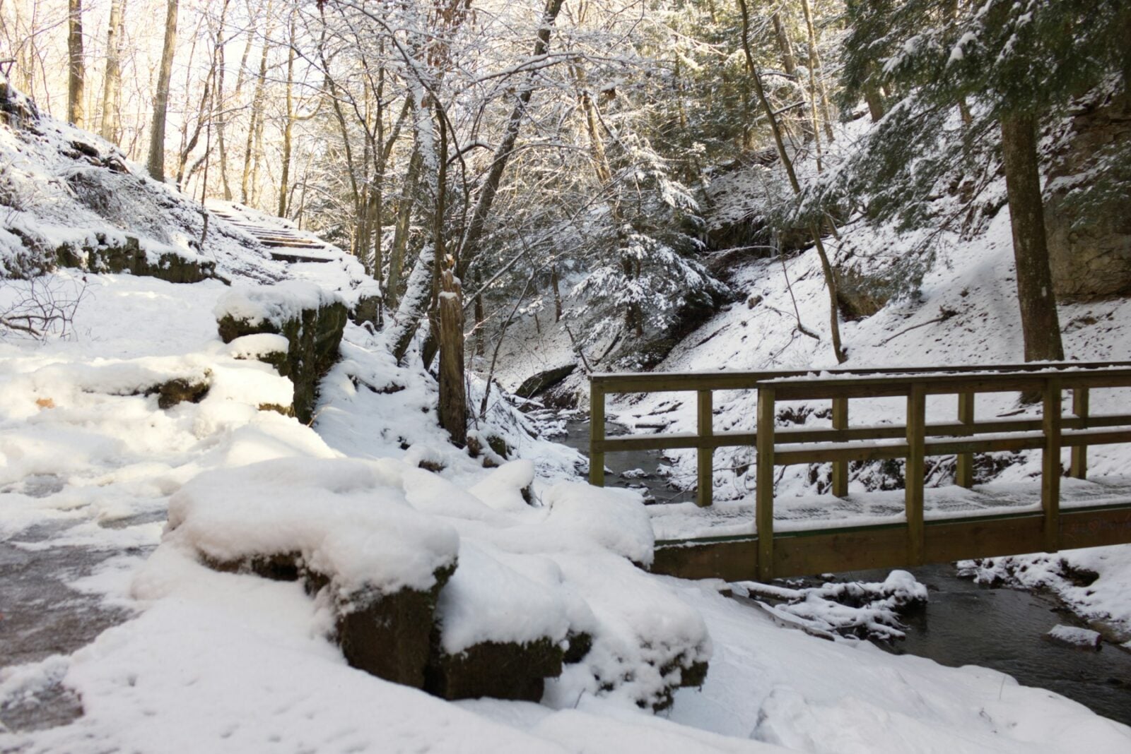 Snow-covered woodland trail and bridge in Pennsylvania