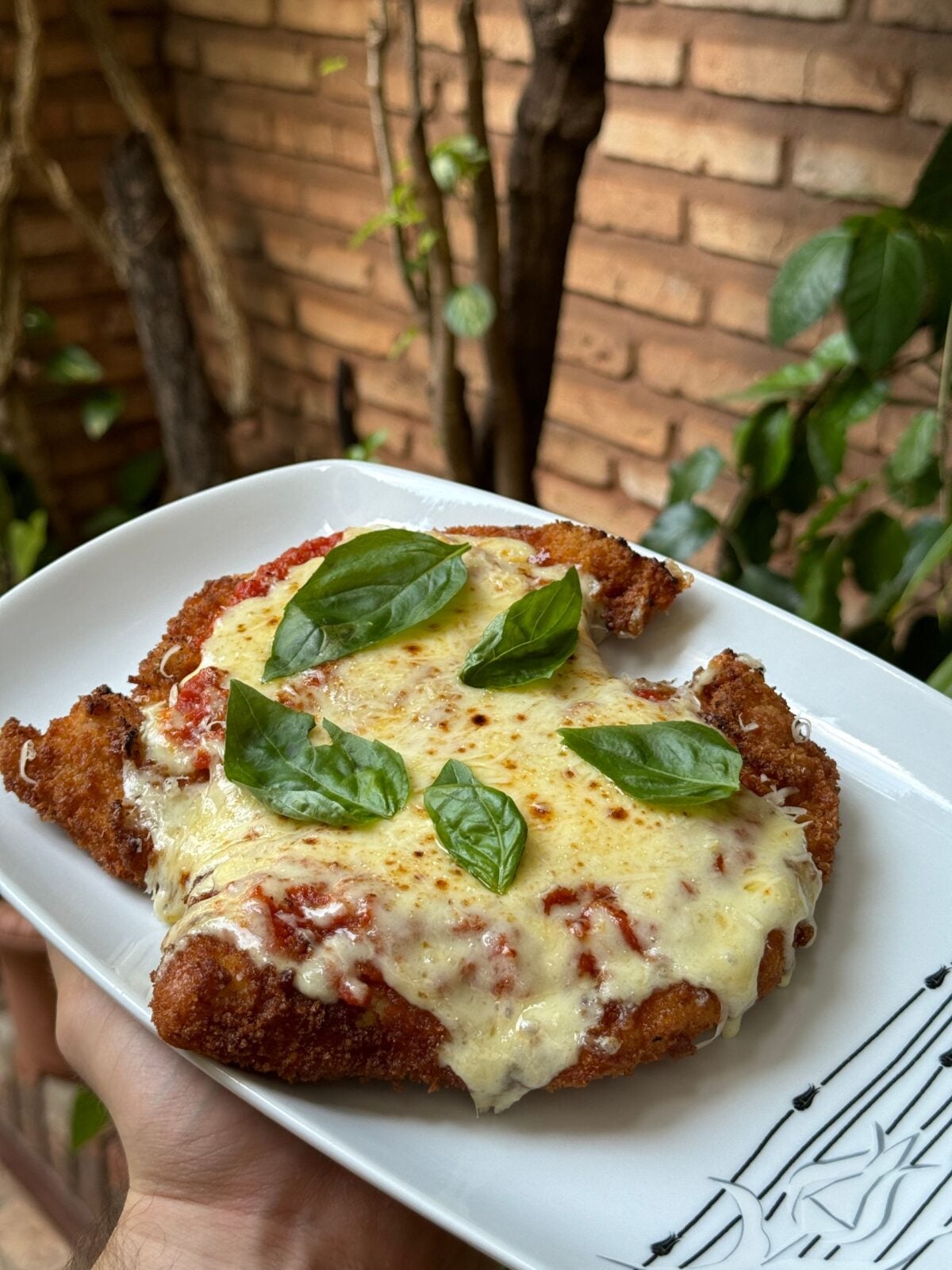 giant puffball mushroom parmesan