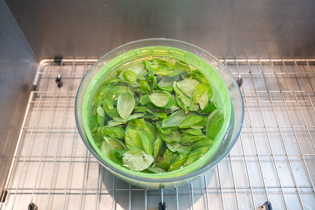 Washed basil leaves in a salad spinner basket