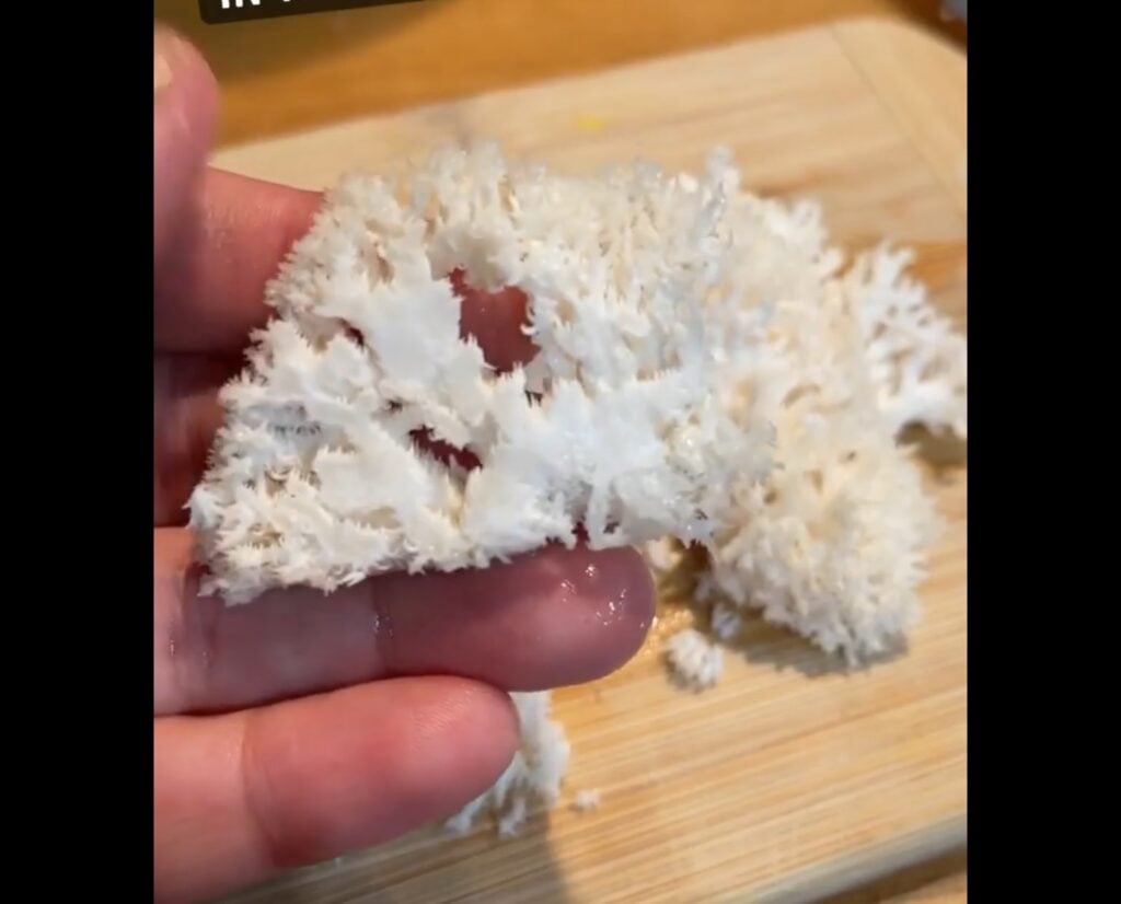 Close-up of open white branches bearing small tooth-like projections, held above a cutting board