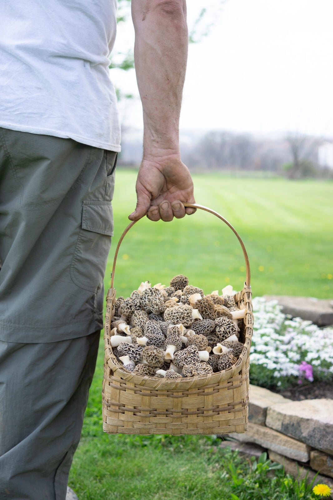 A person holding a wicker basket filled with gathered mushrooms.